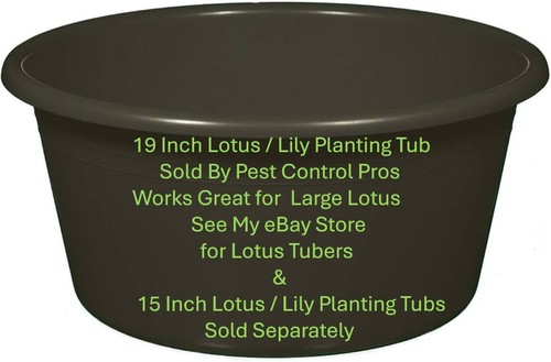 Gallon large round lily - gallon,