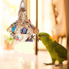 Bird Chewing Toy Chew Toy Ball