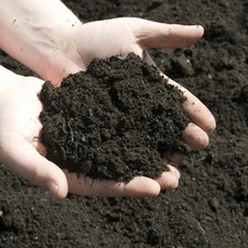 Premium Enriched Topsoil 35