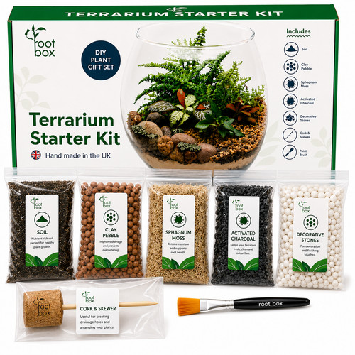 Rootbox terrarium kit - rootbox™,