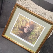 Tony Forrest Limited Edition