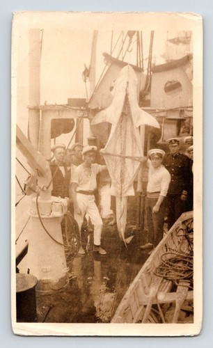 Naval gutted shark - naval:, on