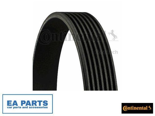 Ribbed belts for toyota - belts,
