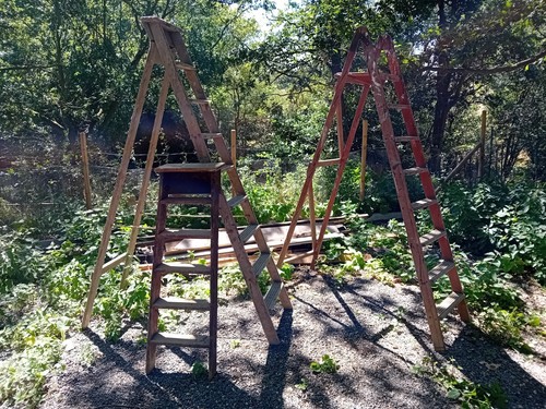Wooden stepladders varying - wooden,