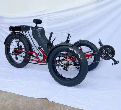 Electric pedal assist 360w 36v - electric,