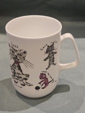 Rose Of England Colourful