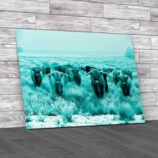 Exploring Scottish Winter With