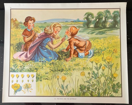 Vintage 1950s enid blyton - vintage,