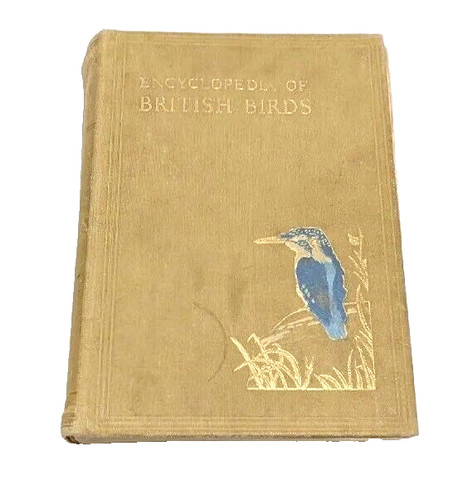 Encyclopedia british birds - encyclopedia,