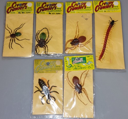 Creepy crawlers pets - creepy,