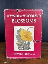Wayside and Woodland Blossoms