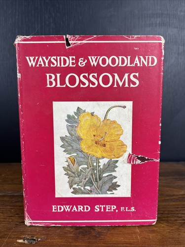 Wayside and woodland - wayside, blossoms