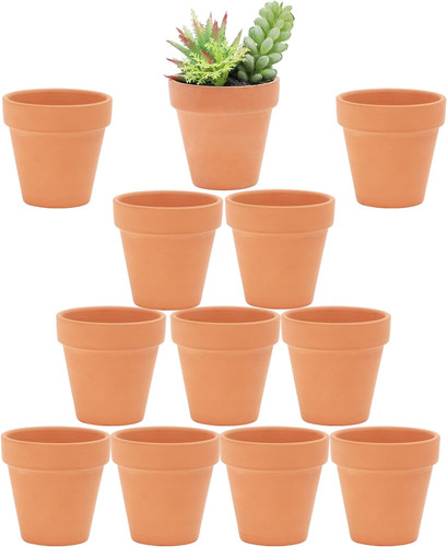 Inch terracotta pots with - terracotta,