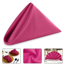 Dinner Cloth Napkins Poly