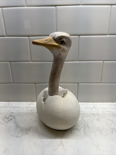 Vintage ostrich emu - vintage, bird