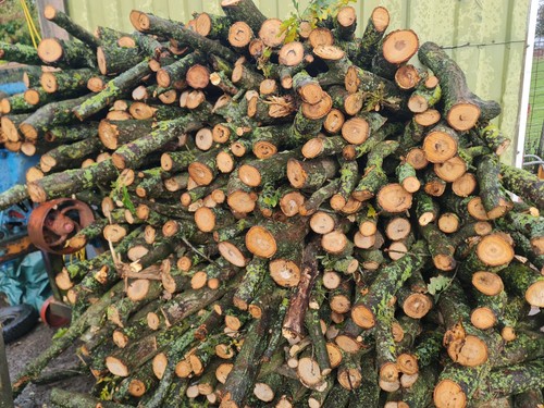 Large sacks wood burning - of,