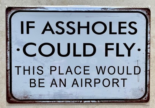 Assholes could fly this - could,