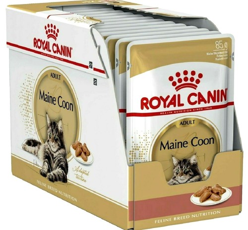 Royal canin maine coon - royal,