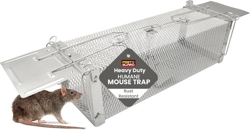 Humane rat trap reusable - rat, home