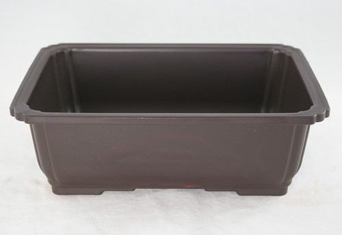 Rectangular plastic bonsai - rectangular,