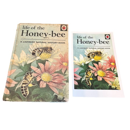 Vintage ladybird book life of - book,,