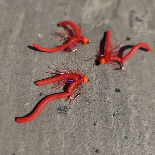 Worms fly fishing trout - 3,