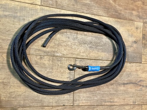 Horse lunge line - horse,