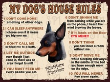 Miniature Pinscher My Dog's