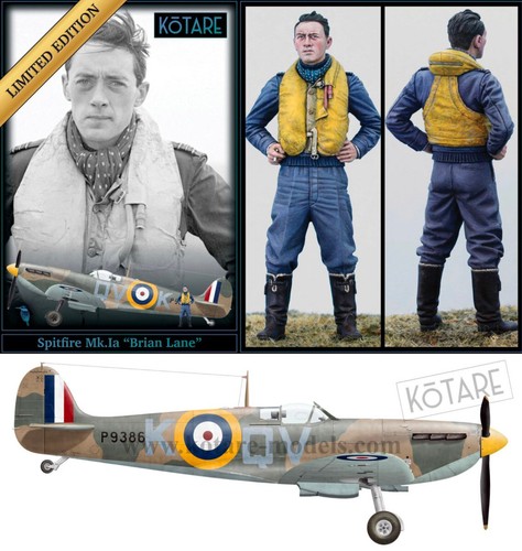 Kotare supermarine - kotare,