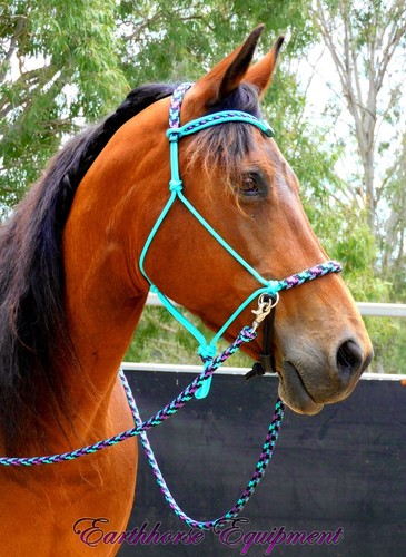 Earthhorse equipment bitless - earthhorse,