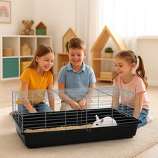 🐰 ZooPaul 🐰 Rabbit Cage