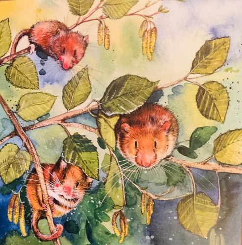 Alex clark dormice - ~, &