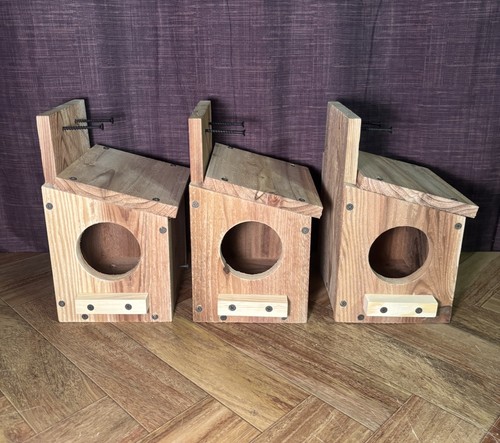 Lot cedar backyard squirrel - lot,