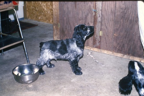 Vintage 35mm slide - vintage,