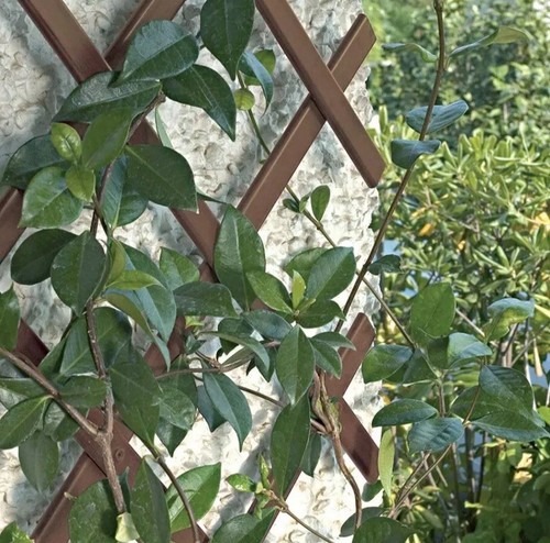 Brown plastic 6ft - plastic, 40cm