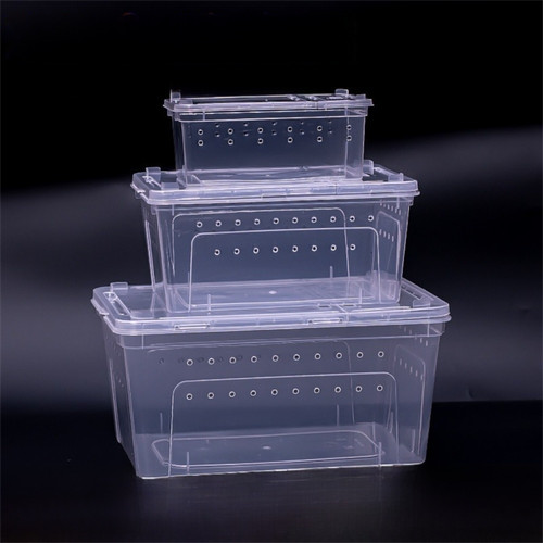 Transparent turtle transport - turtle,