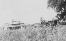 1950s Tractor Harvesting Field