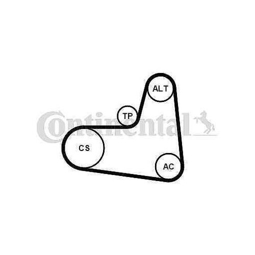 6pk1005k1 continental ctam - 6pk1005k1,