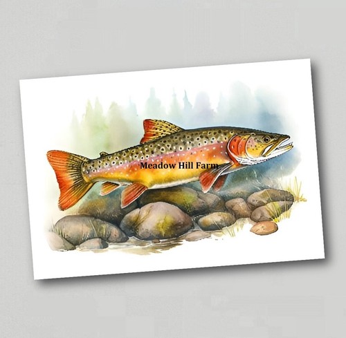 Fridge magnet brook trout - fridge,