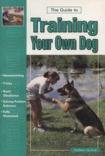 The Guide To Training Your Own