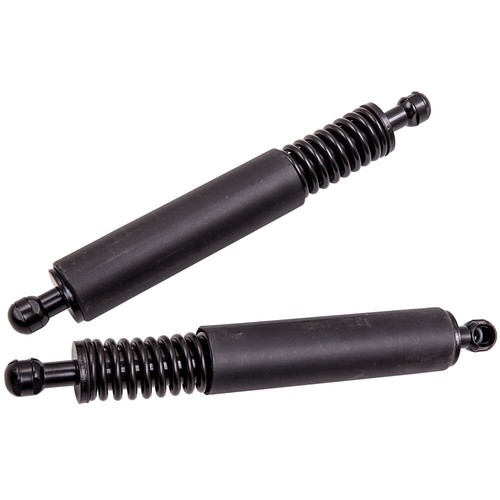 Trunk tailgate gas struts - tailgate,