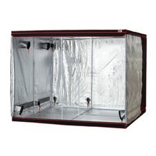 Bay6 2m silver grow - bay6,