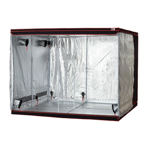 Bay6 2m silver grow - 3m,