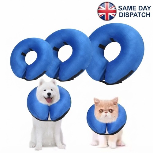Pet dog inflatable - inflatable, collar