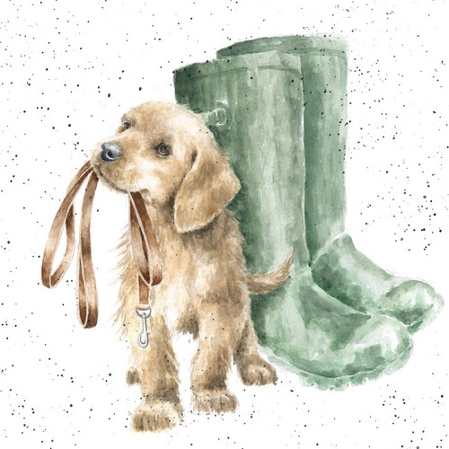 Labrador puppy blank birthday - puppy,