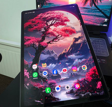 Samsung Galaxy Tab S9+  256GB