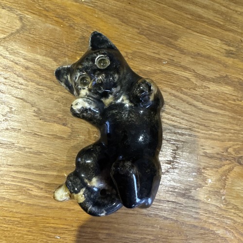 Winstanley kitten signed - kitten,