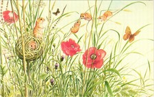 Harvest Mouse Butterflies & Poppies J. Salmon Postcard