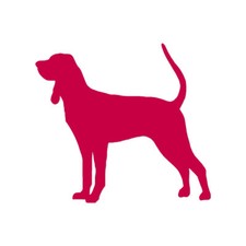 Black tan coonhound dog - black,
