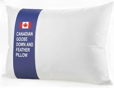 Canadian Goose Feather Down